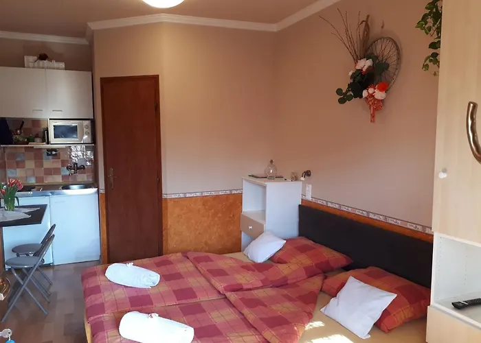 בית הארחה Mini Vendeghaz בודארוס